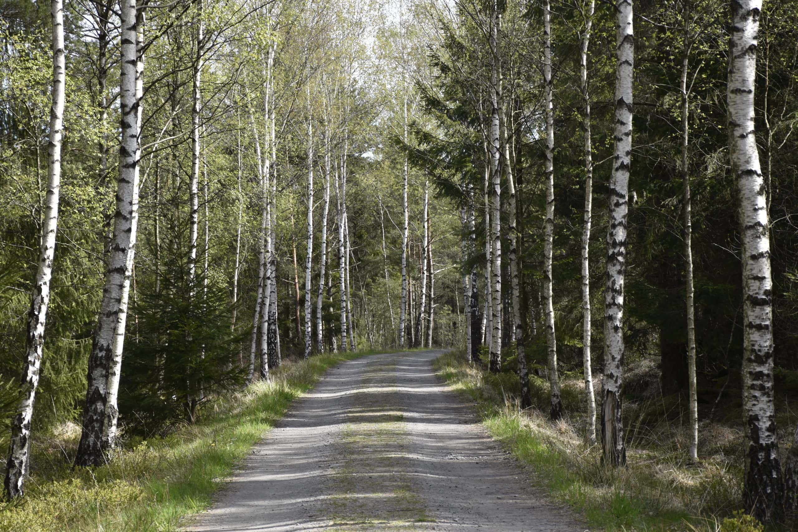 Promenad Hällsnäs